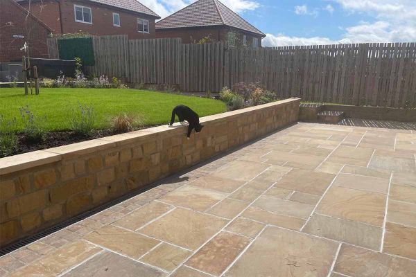 Black cat seen jumping from stone wall with lawn on same level, onto camel dust indian sandstone paving.***Roseberry Landscapes, www.roseberrylandscapes.co.uk
