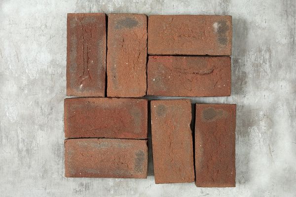 Dorset Antique Cottage Garden Clay Paver - 210x100x50mm Sample