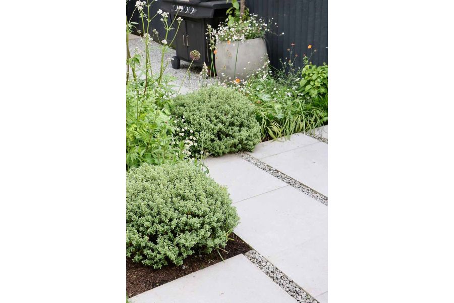 Corner shot of planted bushes with Florence Beige Porcelain Paving and pebbles used for grout gaps, planter and barbeque in background.