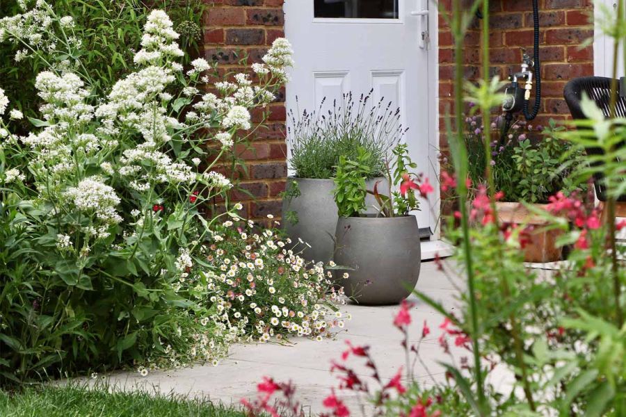 Focused shot of 2 dark grey planters next to red brick wall, surrounded by overgrown flowerbeds spilling onto florence beige porcelain paving.
