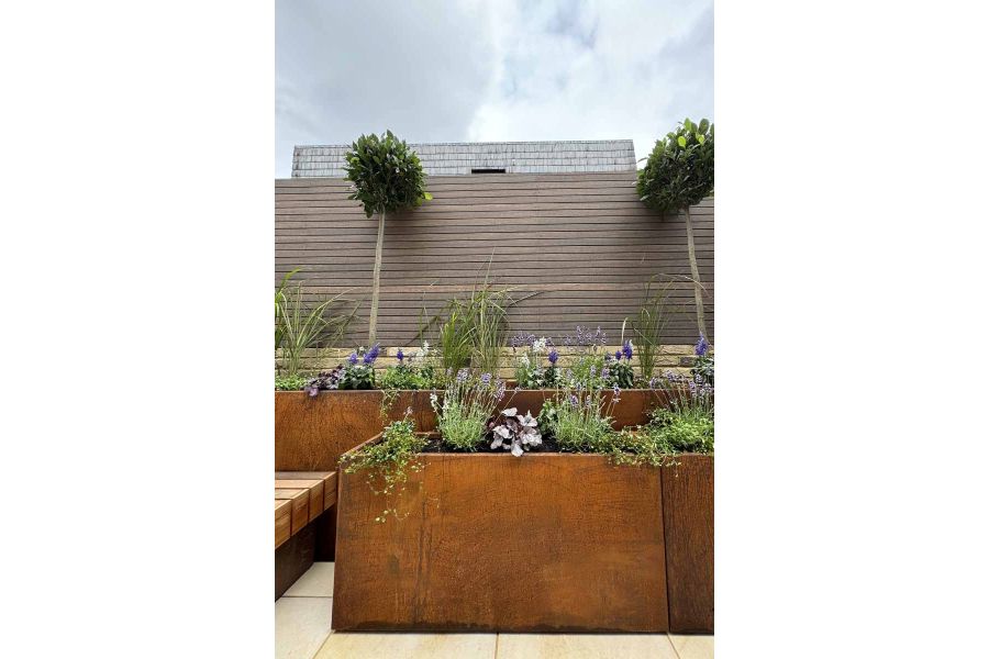 Enclosing the garden are chestnut composite battens with steel corten planters and seating area on porcelain paving.