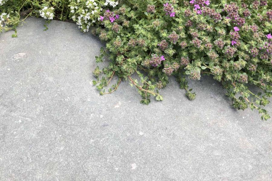 Show garden using bespoke Jura Green limestone, highlighting rich green tones and natural stone variations.