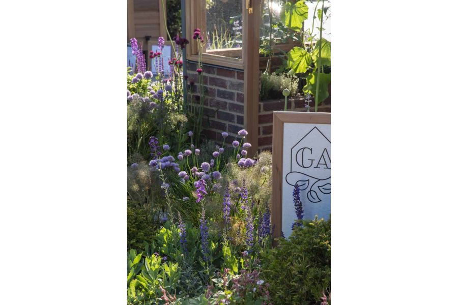 View through purple flowers show Old English Facing Bricks to create building at RHS Chelsea Flower show 2024.