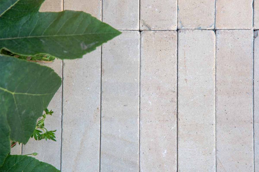 Close-up of Harvest Sandstone pavers showing its warm pastel colors and sawn and tumbled surface next to leafy green plant.