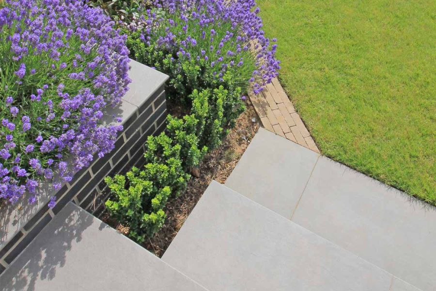 View from above show lavender and green foliage in flowerbeds with steel grey porcelain 20mm bullnose steps leading down to lawn.