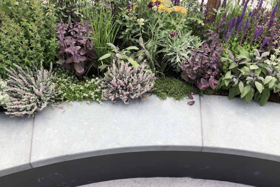 Bespoke Jura Green limestone paving, showcasing at show garden the organic textures and aged fossil markings.