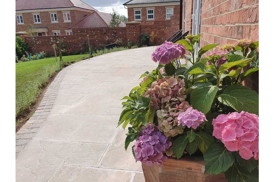 Pot with hydrangea stands next to house wall on wide curved patio edged with bricks, next to lawn. Built by Roseberry Landscapes.