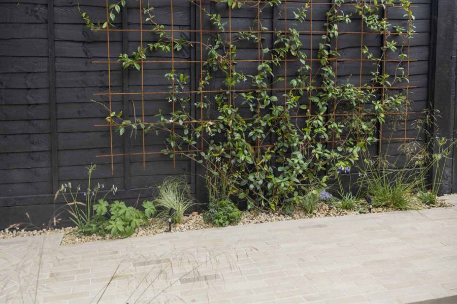 Climbing plants creeping up black fence with beige sandstone patio bricks running alongside in pathway.