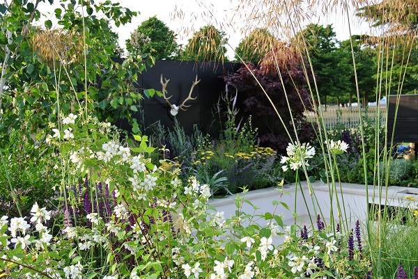 Garden Pad, RHS Hampton Court 2013. View through airy planting to beige sawn sandstone paving.