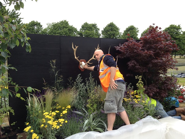 Man placing antlers on black wall in Garden Pad, Hampton Court Flower Show 2013