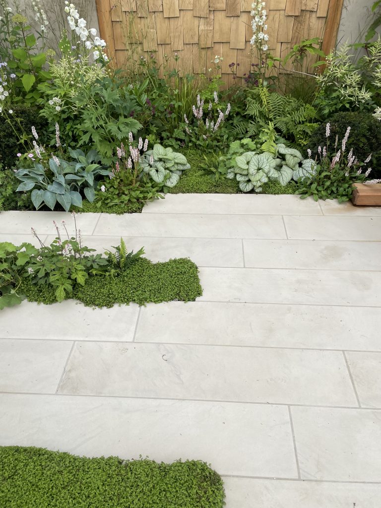 Plank paving is the perfect complement to the planting in this design. 