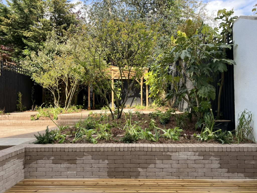 Stone Grey clay pavers and Florence white porcelain paving pave back garden. Multi-stem trees in planting pockets.