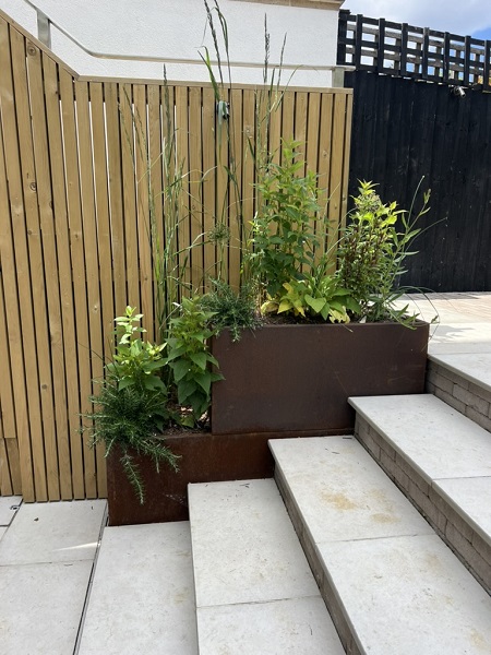 Florence White porcelain steps with Stone Grey clay paver risers ascend past Corten steel planters against wooden batten screen.