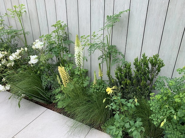 Planted border separates porcelain paving from fence of DesignBoard composite decking boards.